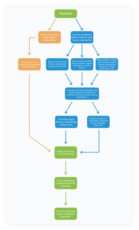 Autobusų avarijos tyrimo schema