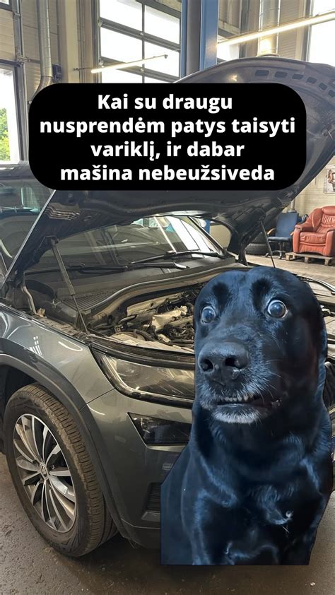 Tematinė nuotrauka, vaizduojanti asmenį, atliekantį automobilio techninę priežiūrą