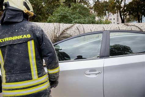nuotrauka su paviršinėmis rūdimis ant automobilio arkos