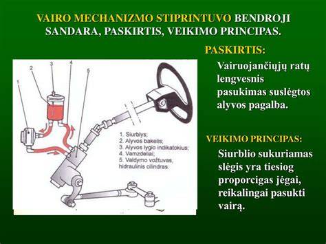 Infografika: Sildomo vairo veikimo principas