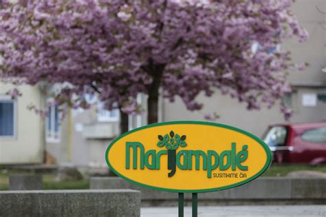 Avarijos vieta kelyje Marijampolė-Kalvarija, nuotraukos iš Marijampolės apskrities Vyriausiojo policijos komisariato