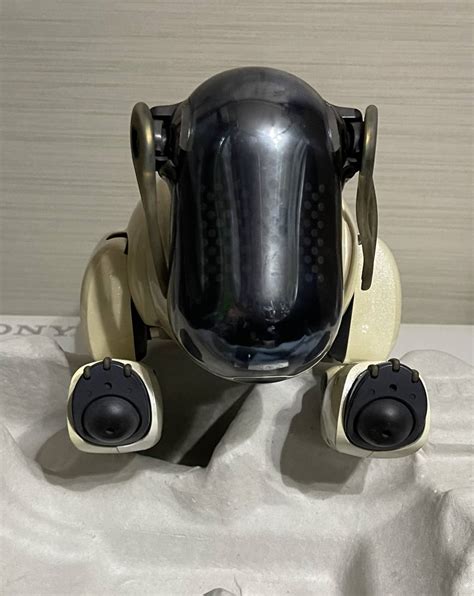 Japonų šeima su robotu šuneliu „Aibo“ šventykloje