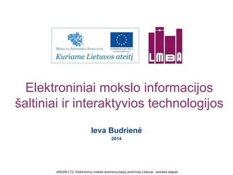 Interaktyvios lentelės maketas su informacijos įvedimo laukais