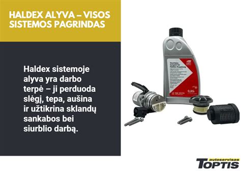 Haldex sistemos alyvos filtro keitimo schema