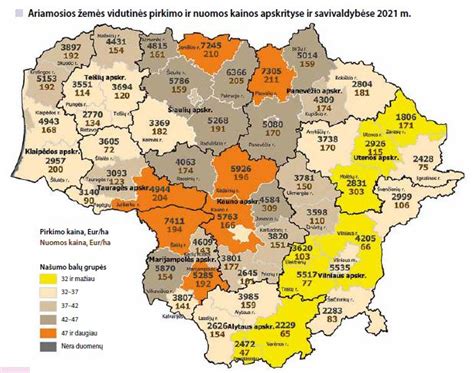 Infografika su automobilių nuomos kainų tendencijomis Islandijoje pagal mėnesius