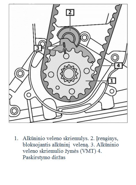 Infografika: diržo ir skriemulio sistema Volvo V50
