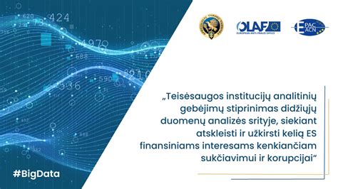 Tachografo duomenų analizės programos sąsaja