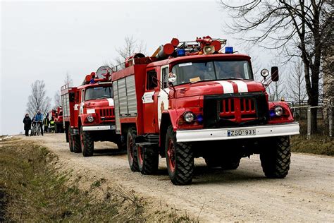 degančios žolės vizualizacija