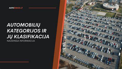 Infografika: automobilių dalys ir jų kategorijos
