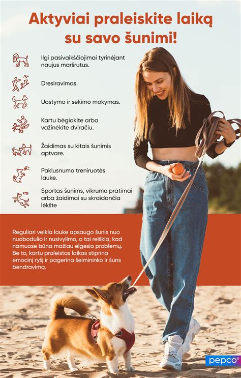 starterio priežiūros patarimai infografika
