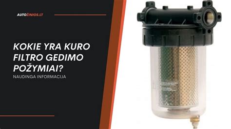 Oro filtro gedimo pavyzdys