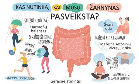 žarnyno mikrofloros schema