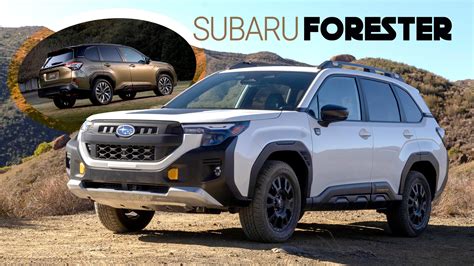 Subaru Forester krosoverio nuotrauka miške