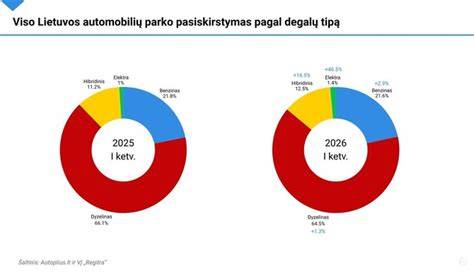Infografika: Degalų tipų pasiskirstymas parko struktūroje