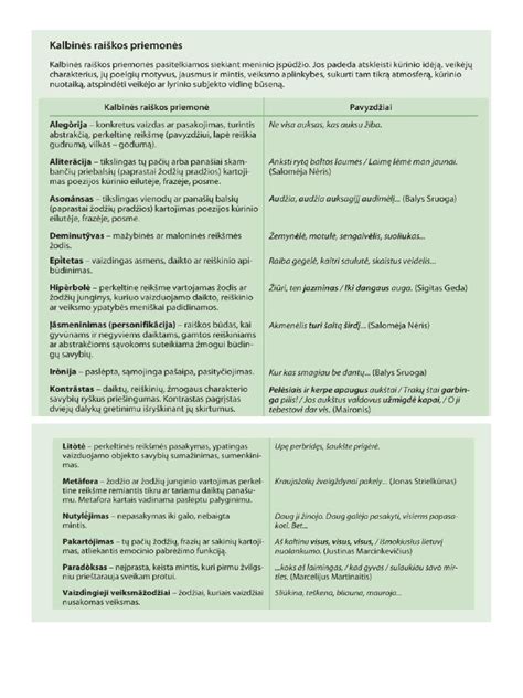 Infografika, lyginanti vientisą ir dvikomponentį smagračius su pavyzdžiais