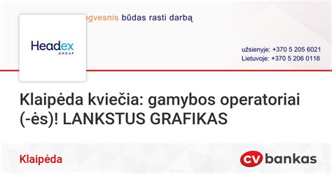 Grafikas, iliustruojantis Haida gamybos apimčių augimą ir apyvartos dinamiką