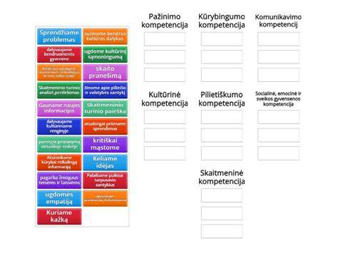 Infografika: Pagrindinės vairuotojo kompetencijos ir jų tarpusavio ryšiai