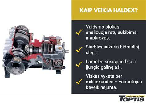Infografika: kaip veikia sankabos troso sistema