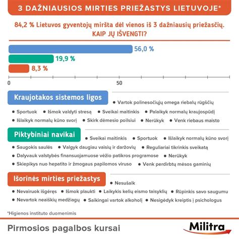 Infografika: dažniausios avarijų priežastys Lietuvoje