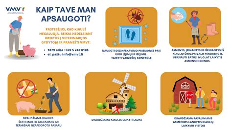 Infografika: Afrikinio kiaulių maro apsaugos zonos ir draudimai