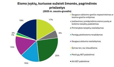 Saugumo keliuose koncepcija: eismo įvykių statistika ir prevencijos vizualizacija