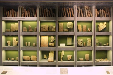 Archeologinių radinių iš Dmanisio nuotraukos