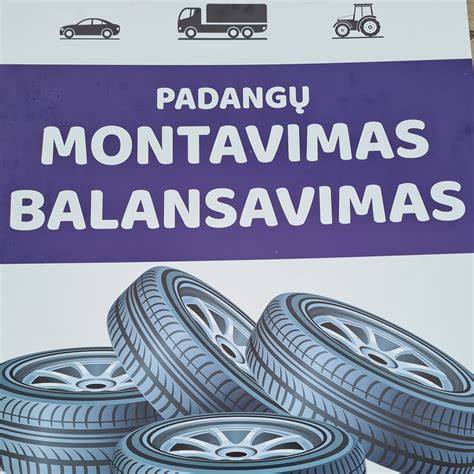 Infografika: Padangų montavimo ir balansavimo procesas
