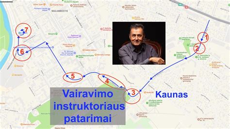Vairavimo instruktoriaus atlyginimo veiksniai diagramoje