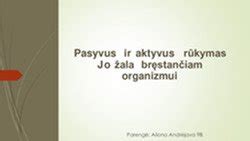 automobilio saugumo sistemų iliustracija (aktyvus ir pasyvus saugumas)