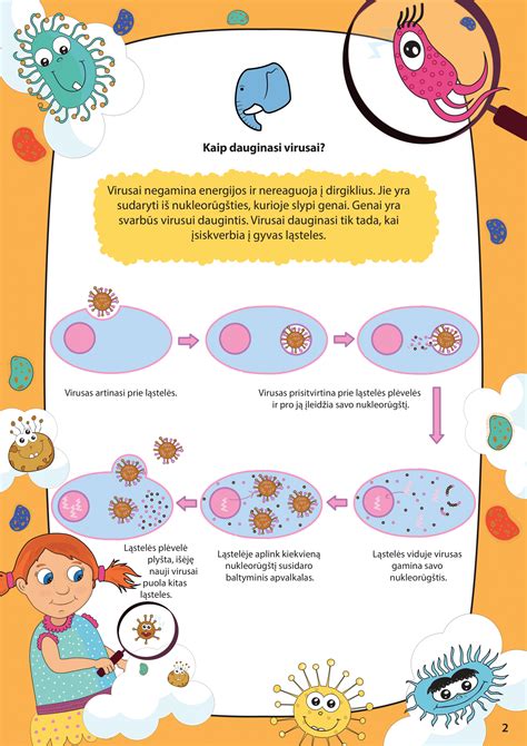 Infografika, rodanti VTEC bakterijos struktūrą ir veikimo principą