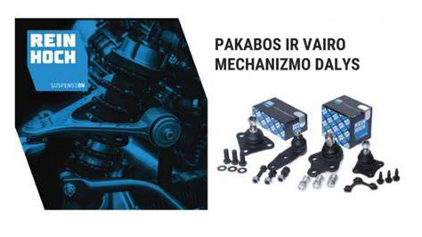 Dvigubo nuleistojo vairo ir Multilink pakabos schemų pavaizdavimo infografika
