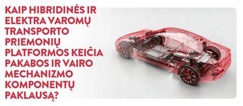 Vairo mechanizmo ir pakabos derinimo schema: tikslus valdymas ir komfortas