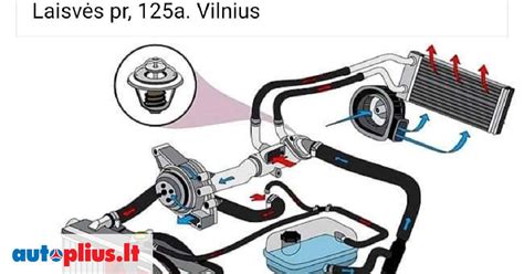 Teminis automobilio aušinimo sistemos komponentų vaizdas