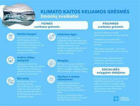 Vaizdinė medžiaga: kaip patikrinti stoglangio drenažą