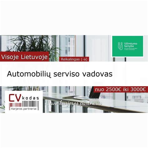 Automobilių serviso įrašų pavyzdys