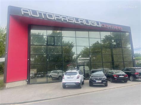 Autoserviso meistras tikrina automobilį