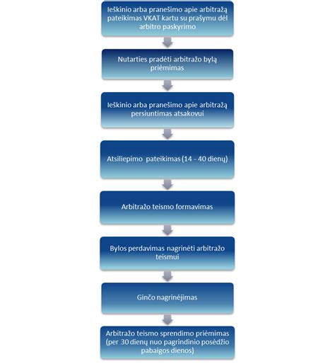 Teismo sprendimų proceso schema