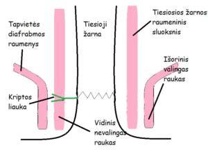 Kanalo integravimo schema