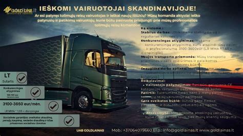 Infografika, iliustruojanti tolimųjų reisų vairuotojo pareigas ir atsakomybes