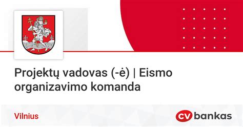 Infografika: eismo organizavimo priemonių tipai ir kiekis Vilniuje