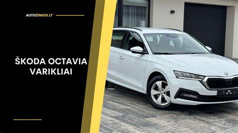 Infografika su Skoda Rapid variantų palyginimu: varikliai, galia, degalų sąnaudos