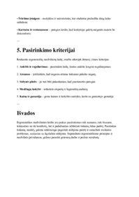 Ratlankio dizaino infografika: pasirinkimo kriterijai