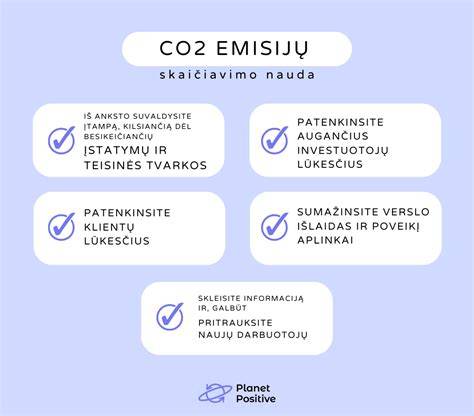 Infografika: anglies dioksido emisijų mažinimo būdai