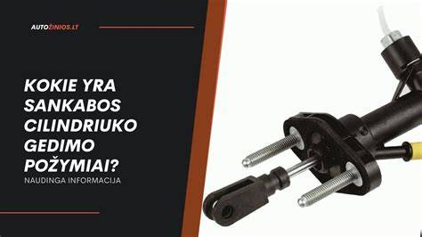 Sankabos gedimo vizualizacija: komponentai ir jų pažeidimo zonos