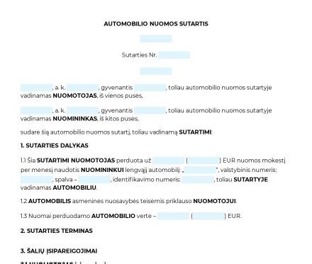 schematinis tarnybinio automobilio naudojimo aprašymas