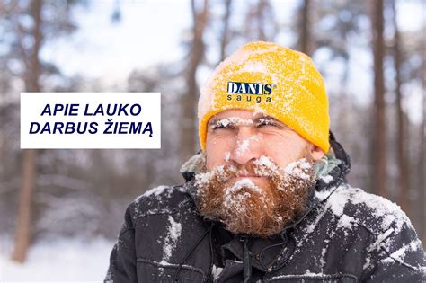 Turbokompresoriaus schema, parodanti geometrijos veikimą ir galimas strigimo vietas