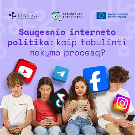 Vizualizacija, iliustruojanti užsakymo procesą (interneto svetainė, telefonas)