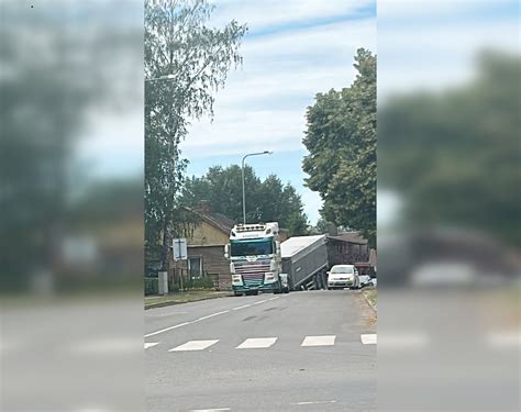 Vilkikas kelyje
