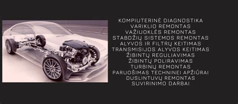 Profesionalūs automobilių meistrai darbo metu