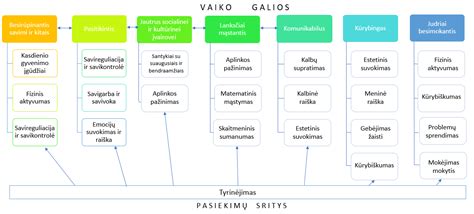 Infografika: Saugirdo Vaitulionio veiklos sritys ir investicijų principai